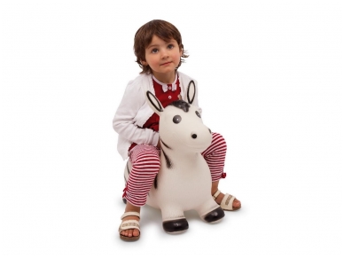 ZEBRAS šokinėjimui 3